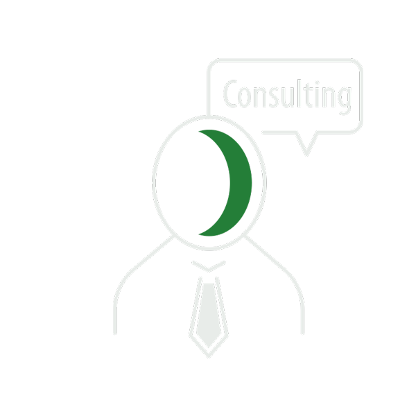 Icon Consulting